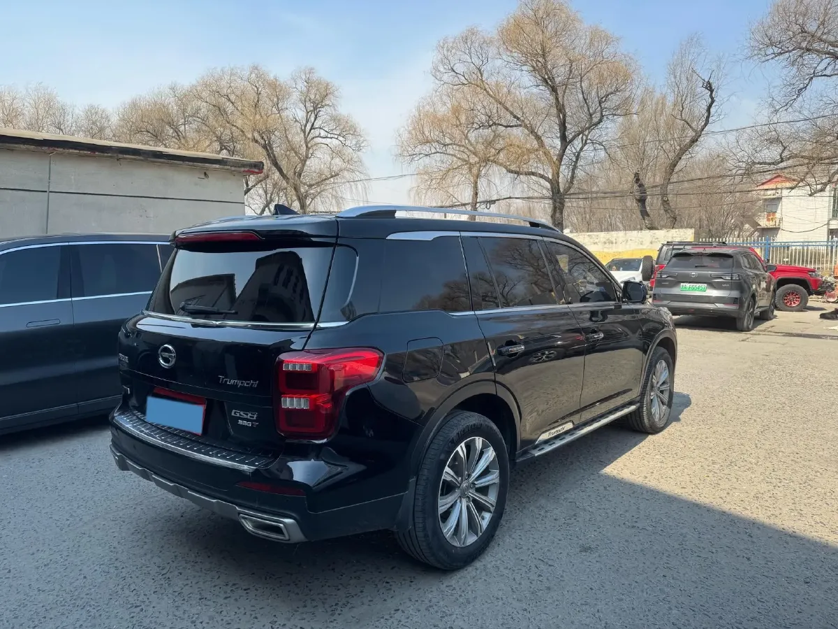 2020 GAC Trumpchi GS8 2.0T 252HP L4 6AT,autocango,china used car exporter,china ev exporter,chinese used car exporter,chinese used ev exporter