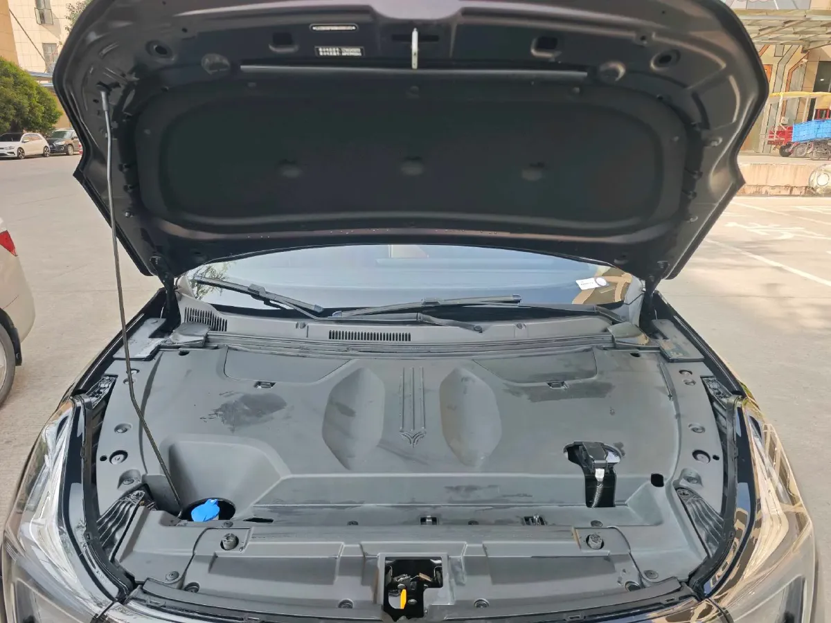 2021 DongFeng FuKang e Elysee BEV 38.4KWH,autocango,china used car exporter,china ev exporter,chinese used car exporter,chinese used ev exporter