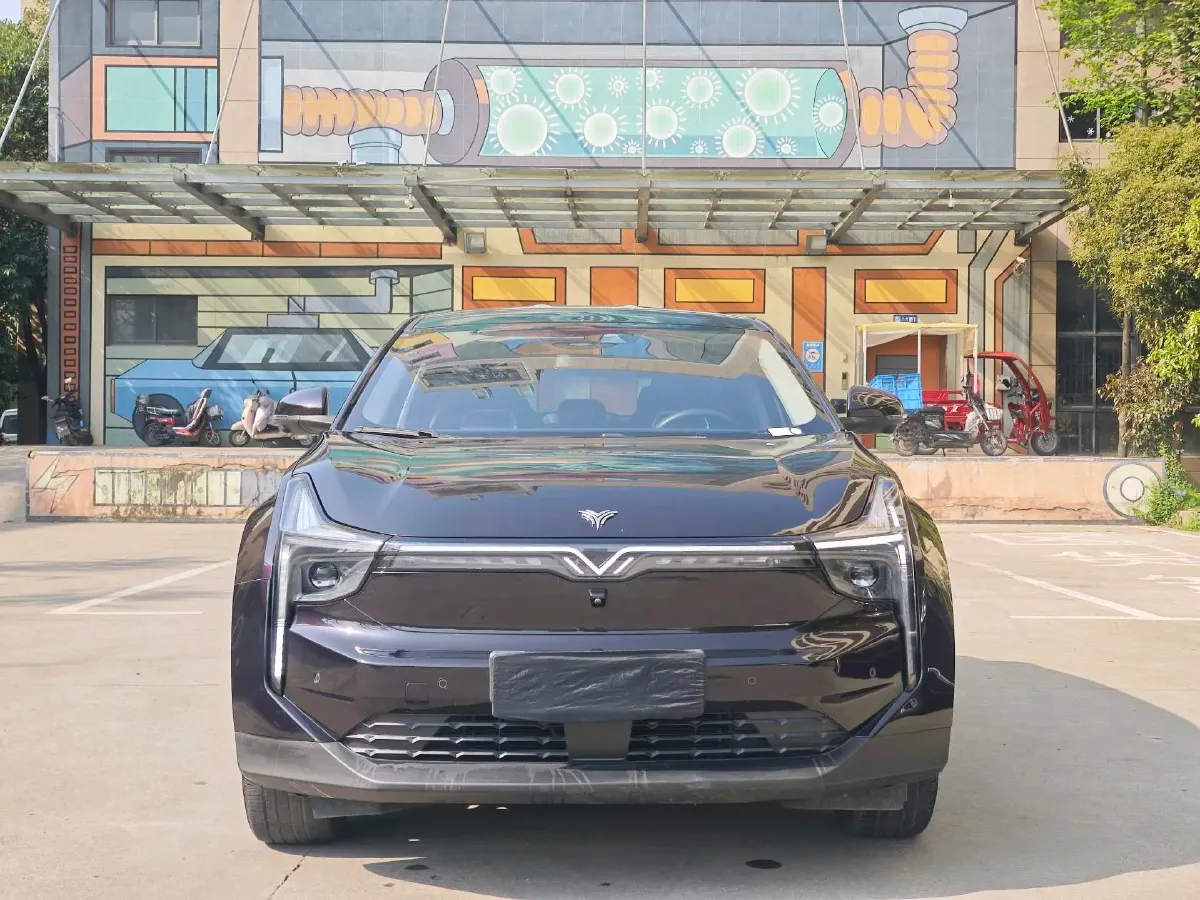 2021 DongFeng FuKang e Elysee BEV 38.4KWH,autocango,china used car exporter,china ev exporter,chinese used car exporter,chinese used ev exporter