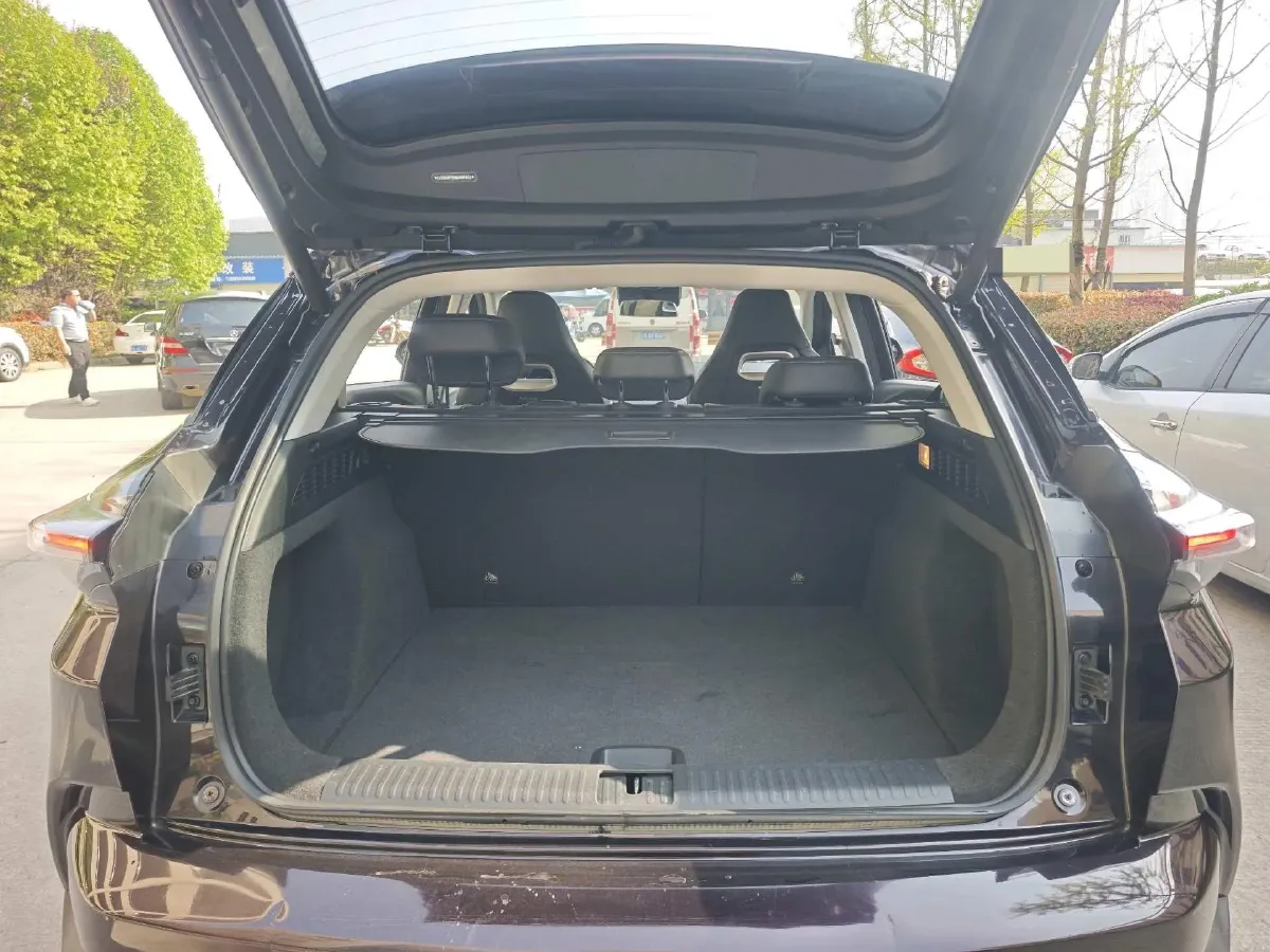 2021 DongFeng FuKang e Elysee BEV 38.4KWH,autocango,china used car exporter,china ev exporter,chinese used car exporter,chinese used ev exporter