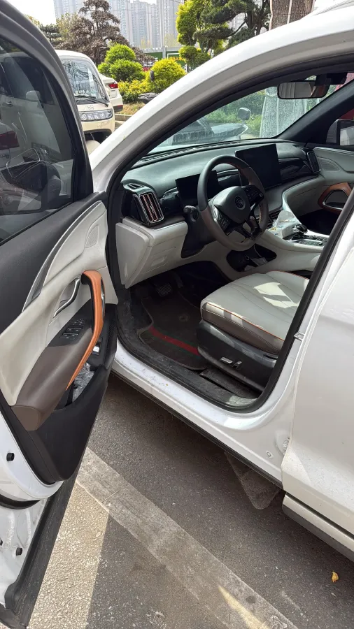 2021 SRM Sea Lion EV BEV 41.86KWH,autocango,china used car exporter,china ev exporter,chinese used car exporter,chinese used ev exporter