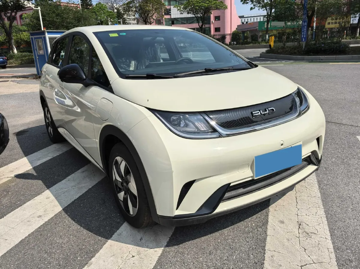 2025 BYD Dolphin BEV 44.928KWH,autocango,china used car exporter,china ev exporter,chinese used car exporter,chinese used ev exporter