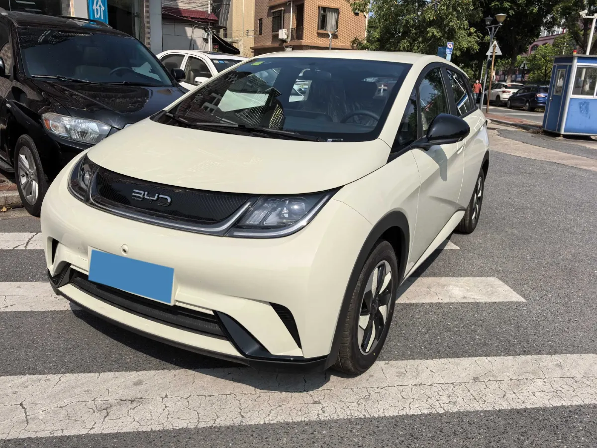 2025 BYD Dolphin BEV 44.928KWH,autocango,china used car exporter,china ev exporter,chinese used car exporter,chinese used ev exporter