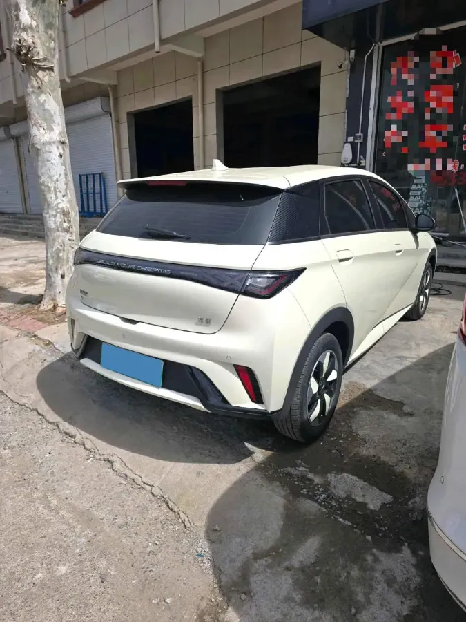 2025 BYD Dolphin BEV 44.928KWH,autocango,china used car exporter,china ev exporter,chinese used car exporter,chinese used ev exporter
