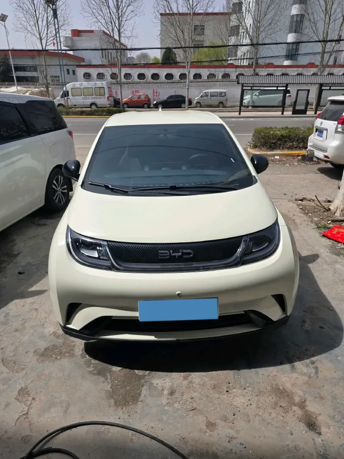 2025 BYD Dolphin BEV 44.928KWH,autocango,china used car exporter,china ev exporter,chinese used car exporter,chinese used ev exporter