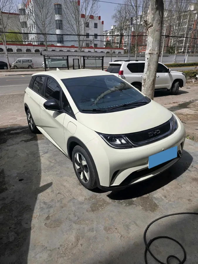 2025 BYD Dolphin BEV 44.928KWH,autocango,china used car exporter,china ev exporter,chinese used car exporter,chinese used ev exporter