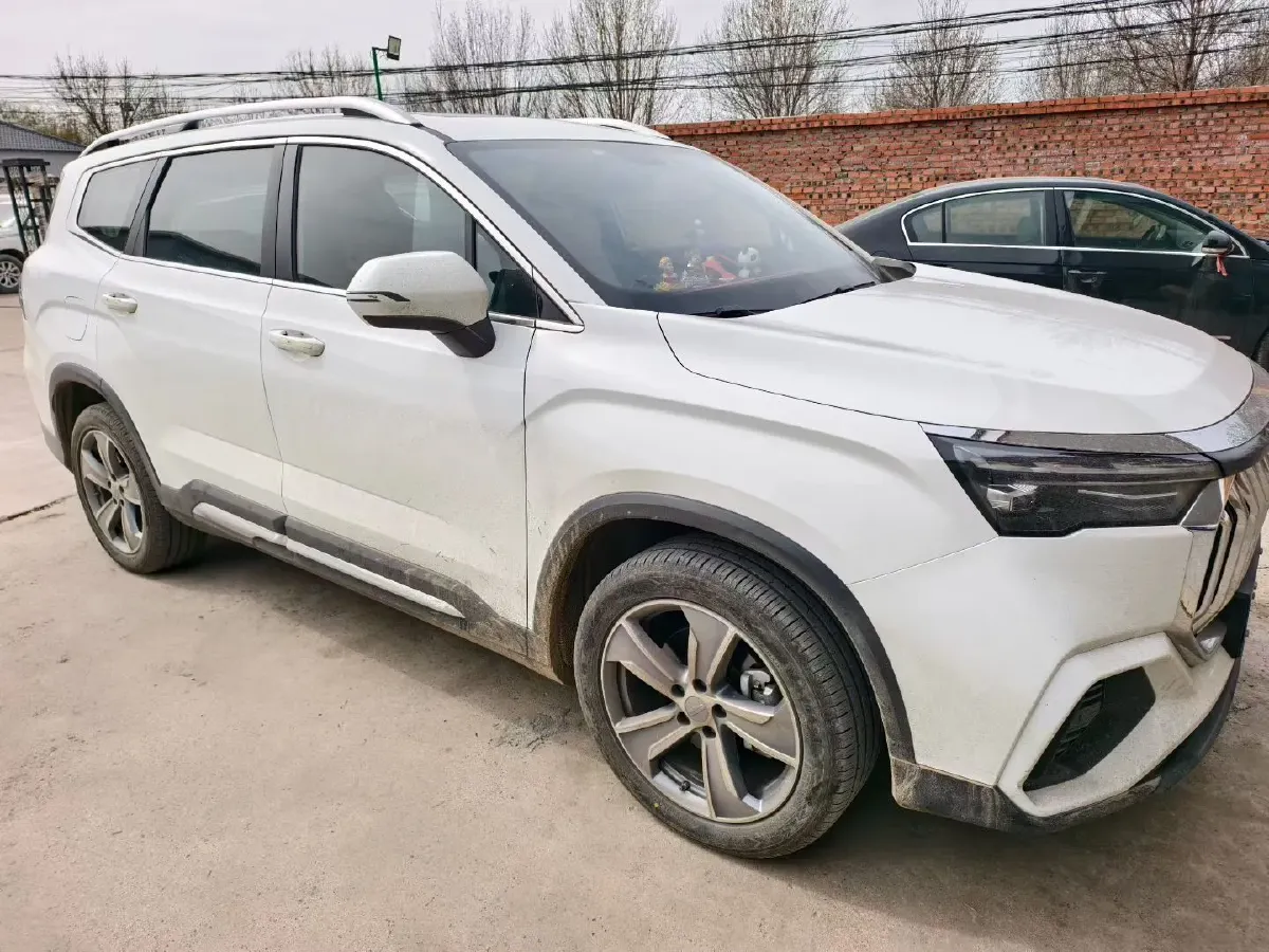 2024 Geely Okavango L 2.0T 218HP L4 7DCT,autocango,china used car exporter,china ev exporter,chinese used car exporter,chinese used ev exporter