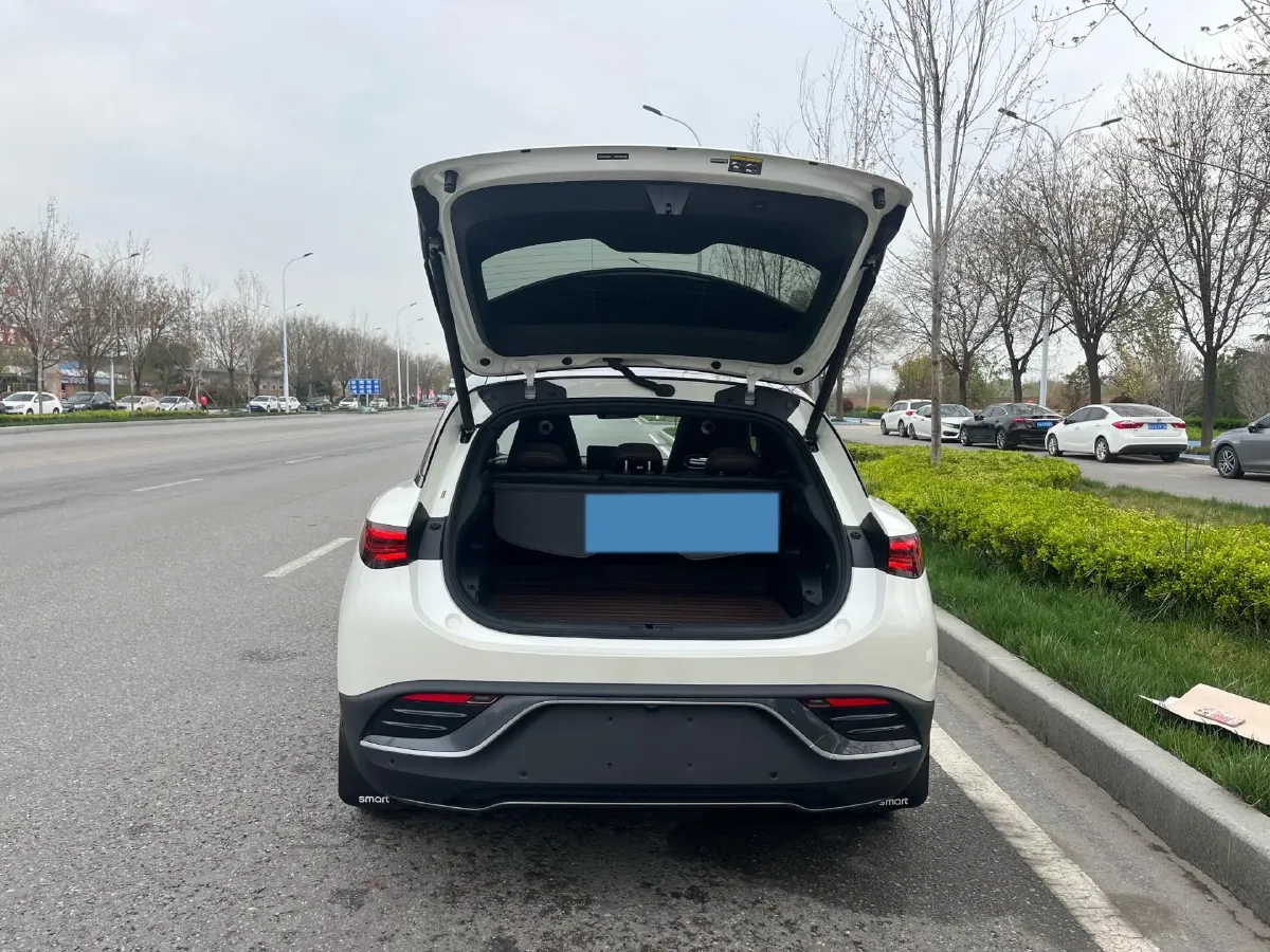 2024 Smart smart Elf 3 BEV 66KWH,autocango,china used car exporter,china ev exporter,chinese used car exporter,chinese used ev exporter