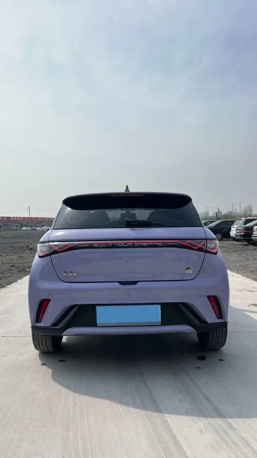 2023 BYD Dolphin BEV 44.928KWH,autocango,china used car exporter,china ev exporter,chinese used car exporter,chinese used ev exporter