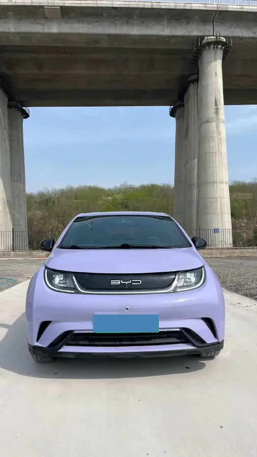 2023 BYD Dolphin BEV 44.928KWH,autocango,china used car exporter,china ev exporter,chinese used car exporter,chinese used ev exporter