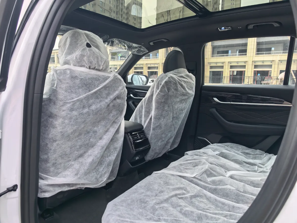 2024 Geely Monjaro 2.0T 218HP L4 7DCT,autocango,china used car exporter,china ev exporter,chinese used car exporter,chinese used ev exporter