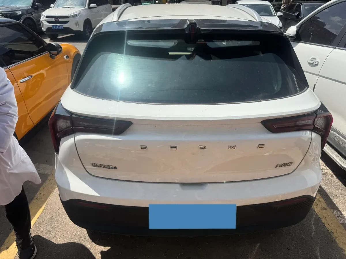 2024 Geometry E BEV 29.67KWH,autocango,china used car exporter,china ev exporter,chinese used car exporter,chinese used ev exporter