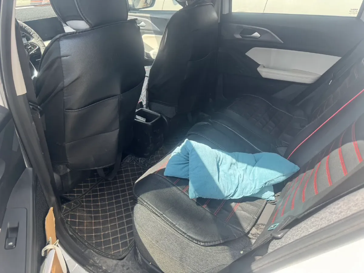 2024 Geometry E BEV 29.67KWH,autocango,china used car exporter,china ev exporter,chinese used car exporter,chinese used ev exporter