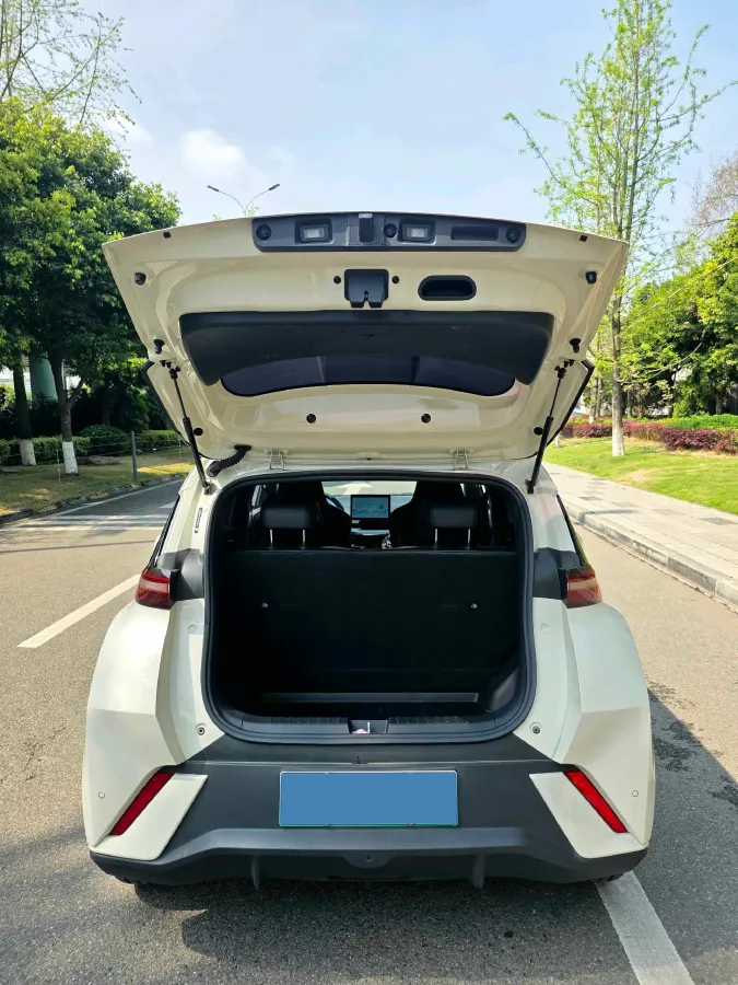 2023 BYD Seagull BEV 30.08KWH,autocango,china used car exporter,china ev exporter,chinese used car exporter,chinese used ev exporter