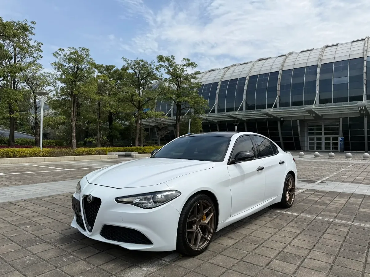 2017 Ford Mustang 2.3T 314HP L4 6AT,autocango,china used car exporter,china ev exporter,chinese used car exporter,chinese used ev exporter