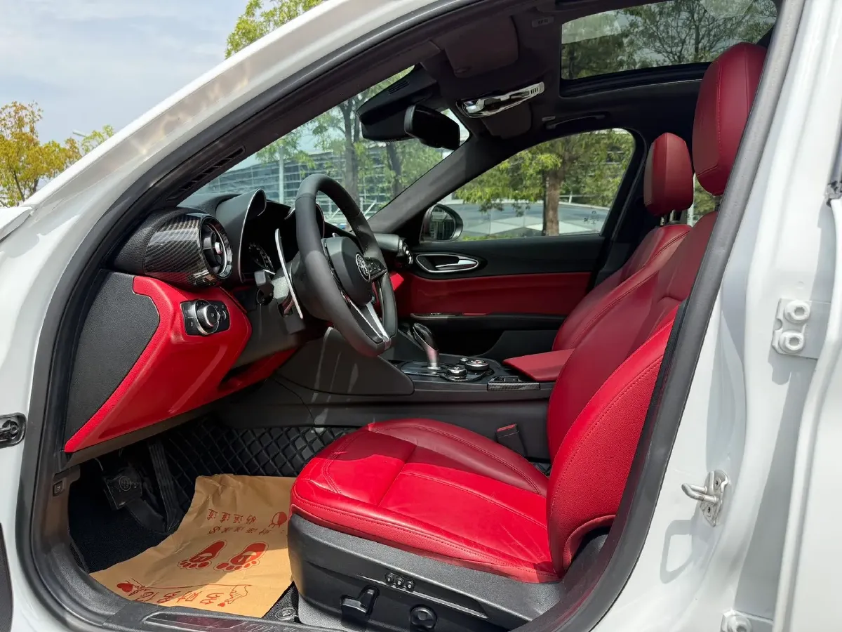 2017 Ford Mustang 2.3T 314HP L4 6AT,autocango,china used car exporter,china ev exporter,chinese used car exporter,chinese used ev exporter