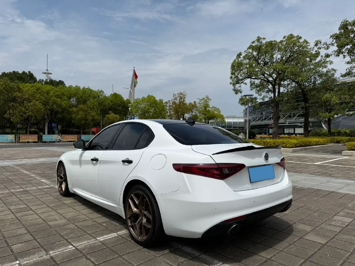 2017 Ford Mustang 2.3T 314HP L4 6AT,autocango,china used car exporter,china ev exporter,chinese used car exporter,chinese used ev exporter