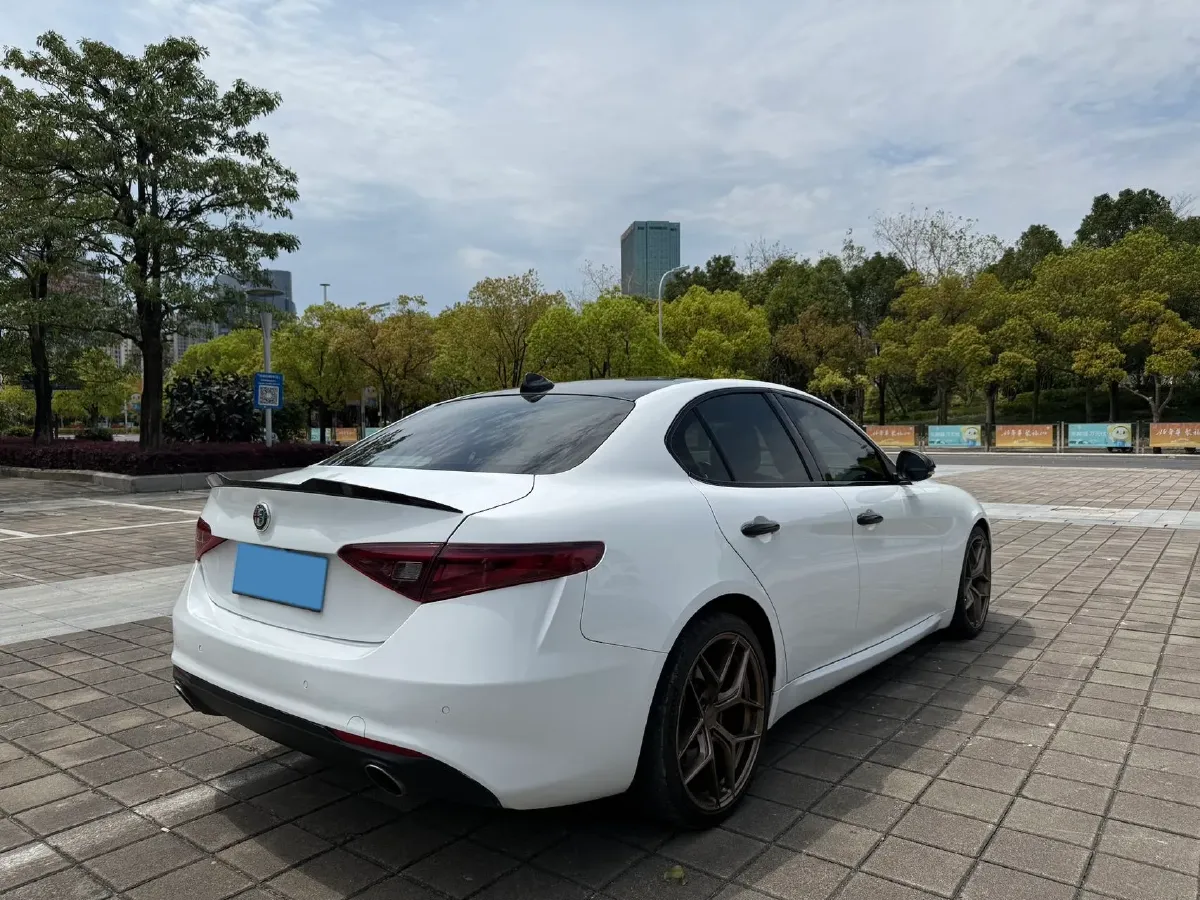 2017 Ford Mustang 2.3T 314HP L4 6AT,autocango,china used car exporter,china ev exporter,chinese used car exporter,chinese used ev exporter