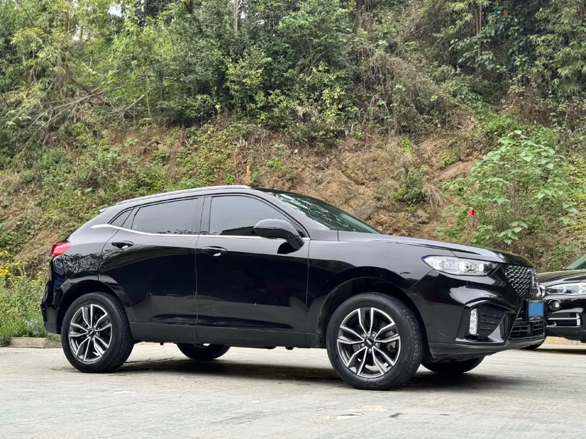 2020 WEY VV5 1.5T 171HP L4 7DCT,autocango,china used car exporter,china ev exporter,chinese used car exporter,chinese used ev exporter