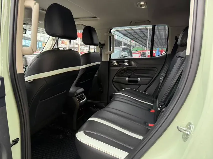 2023 Tank 300 2.0T 227HP L4 8AT,autocango,china used car exporter,china ev exporter,chinese used car exporter,chinese used ev exporter