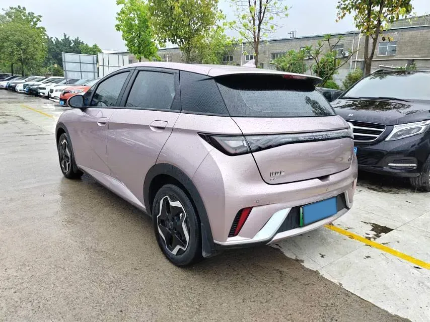 2021 BYD Yuan Pro BEV 50.1KWH,autocango,china used car exporter,china ev exporter,chinese used car exporter,chinese used ev exporter