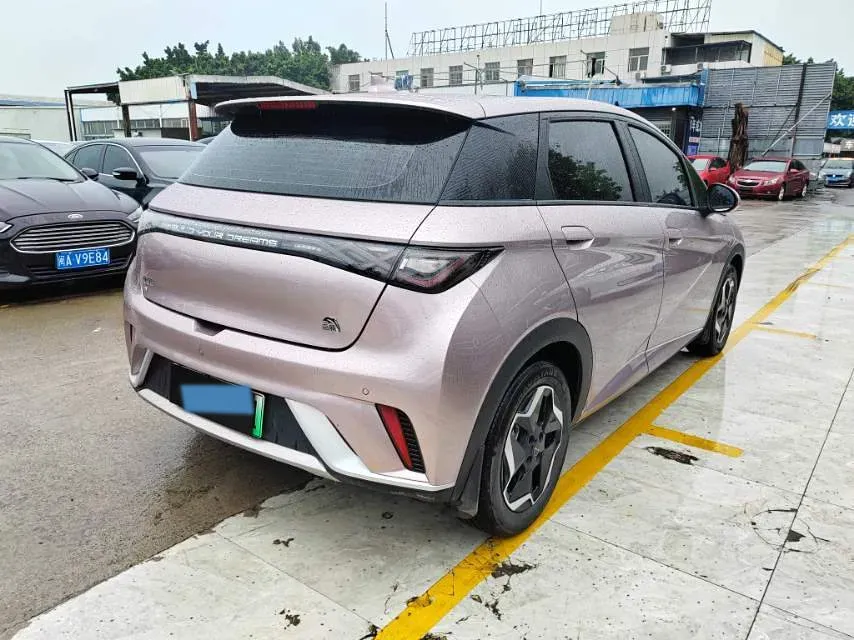 2021 BYD Yuan Pro BEV 50.1KWH,autocango,china used car exporter,china ev exporter,chinese used car exporter,chinese used ev exporter