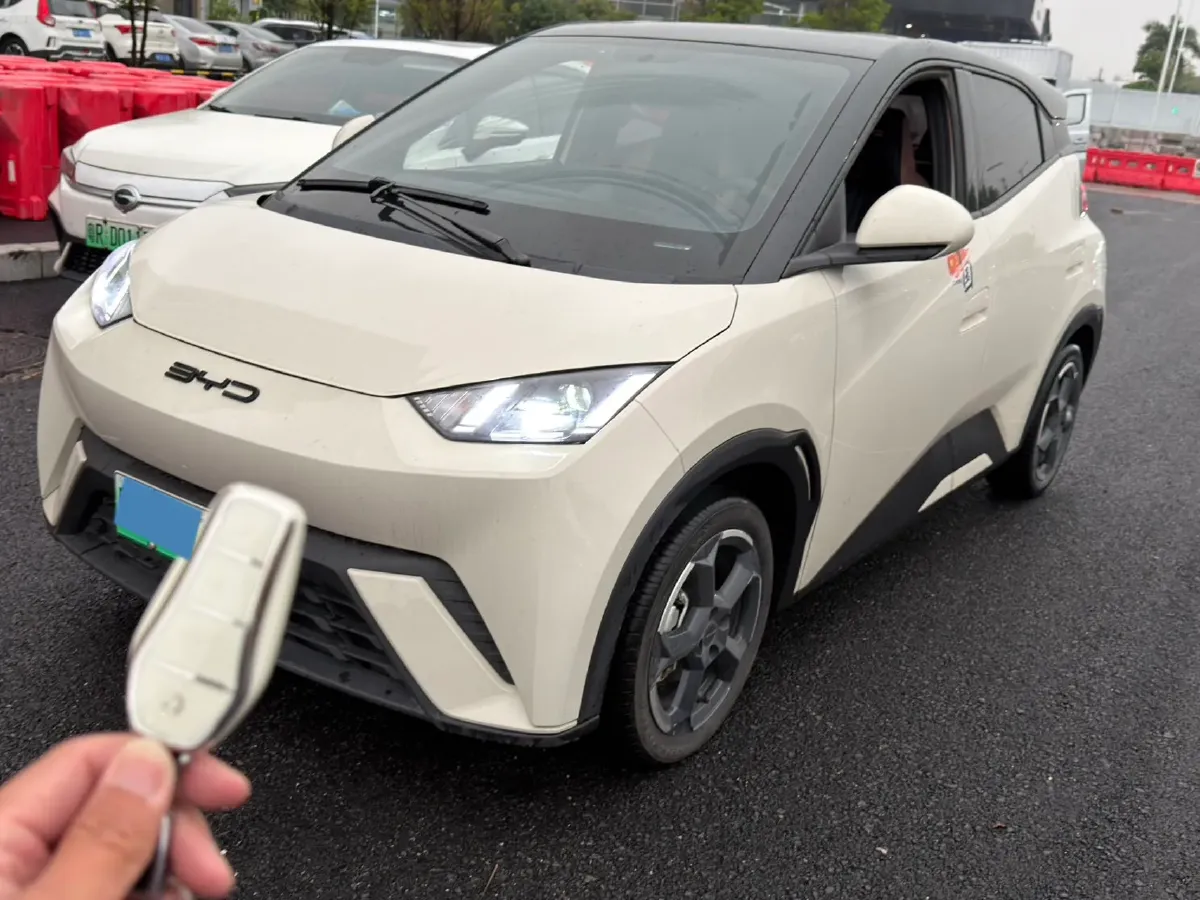 2023 BYD Seagull BEV 30.08KWH,autocango,china used car exporter,china ev exporter,chinese used car exporter,chinese used ev exporter