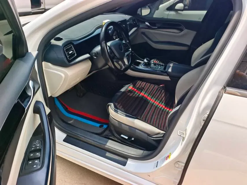 2021 BYD Qin Plus BEV 57.6KWH,autocango,china used car exporter,china ev exporter,chinese used car exporter,chinese used ev exporter