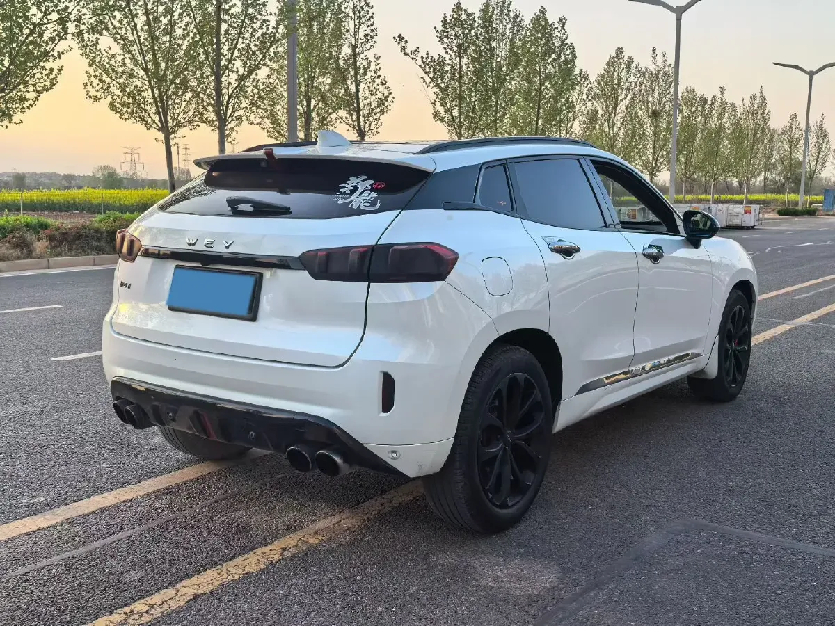 2017 WEY VV7 2.0T 234HP L4 7DCT,autocango,china used car exporter,china ev exporter,chinese used car exporter,chinese used ev exporter