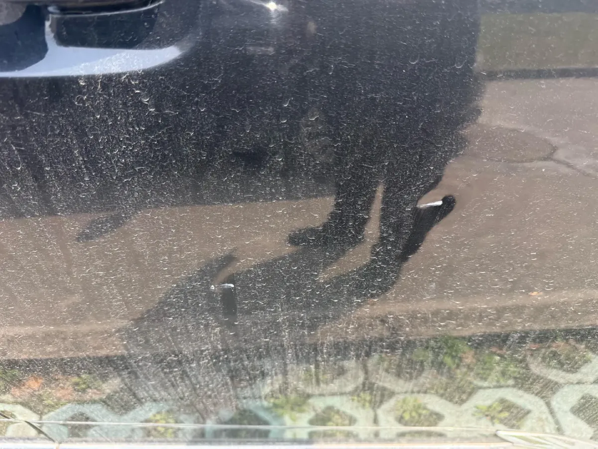 2021 MAXUS G20 2.0T 224HP L4 8AT,autocango,china used car exporter,china ev exporter,chinese used car exporter,chinese used ev exporter