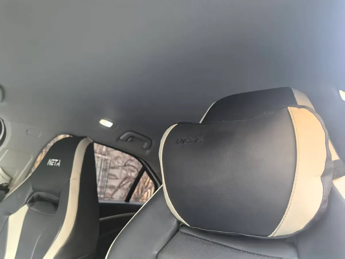 2021 DongFeng FuKang e Elysee BEV 38.4KWH,autocango,china used car exporter,china ev exporter,chinese used car exporter,chinese used ev exporter