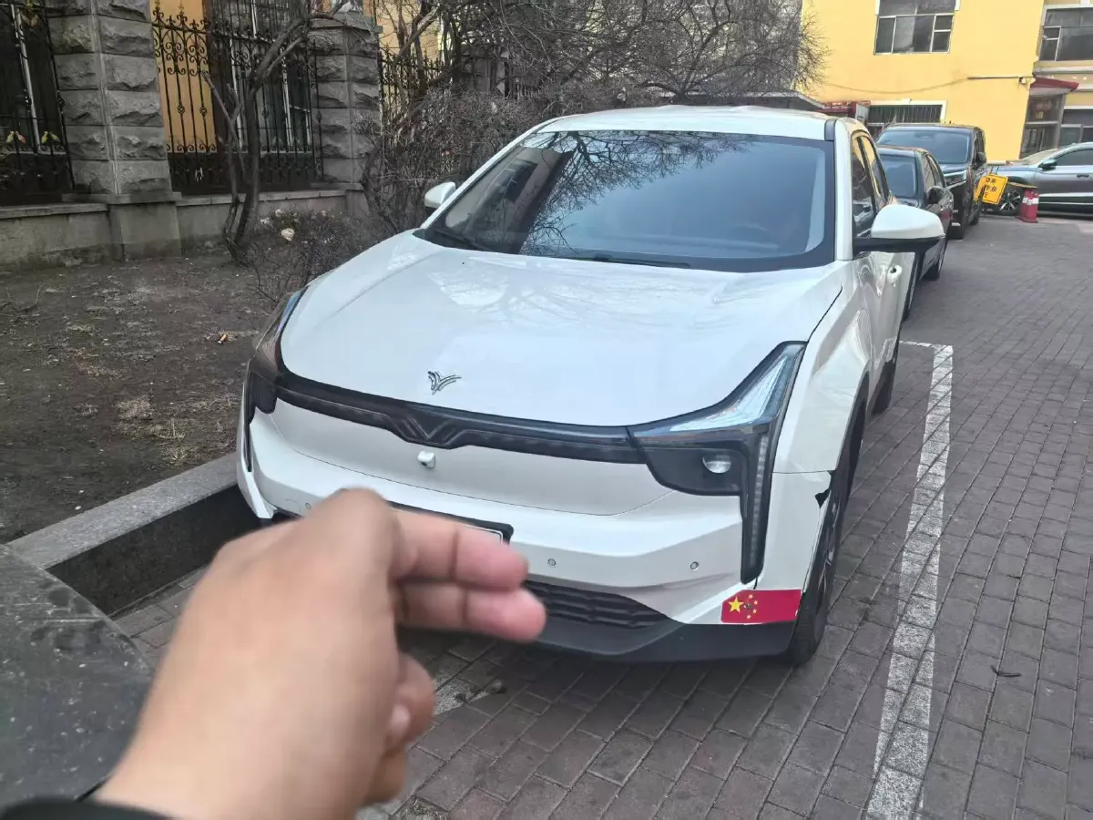 2021 DongFeng FuKang e Elysee BEV 38.4KWH,autocango,china used car exporter,china ev exporter,chinese used car exporter,chinese used ev exporter