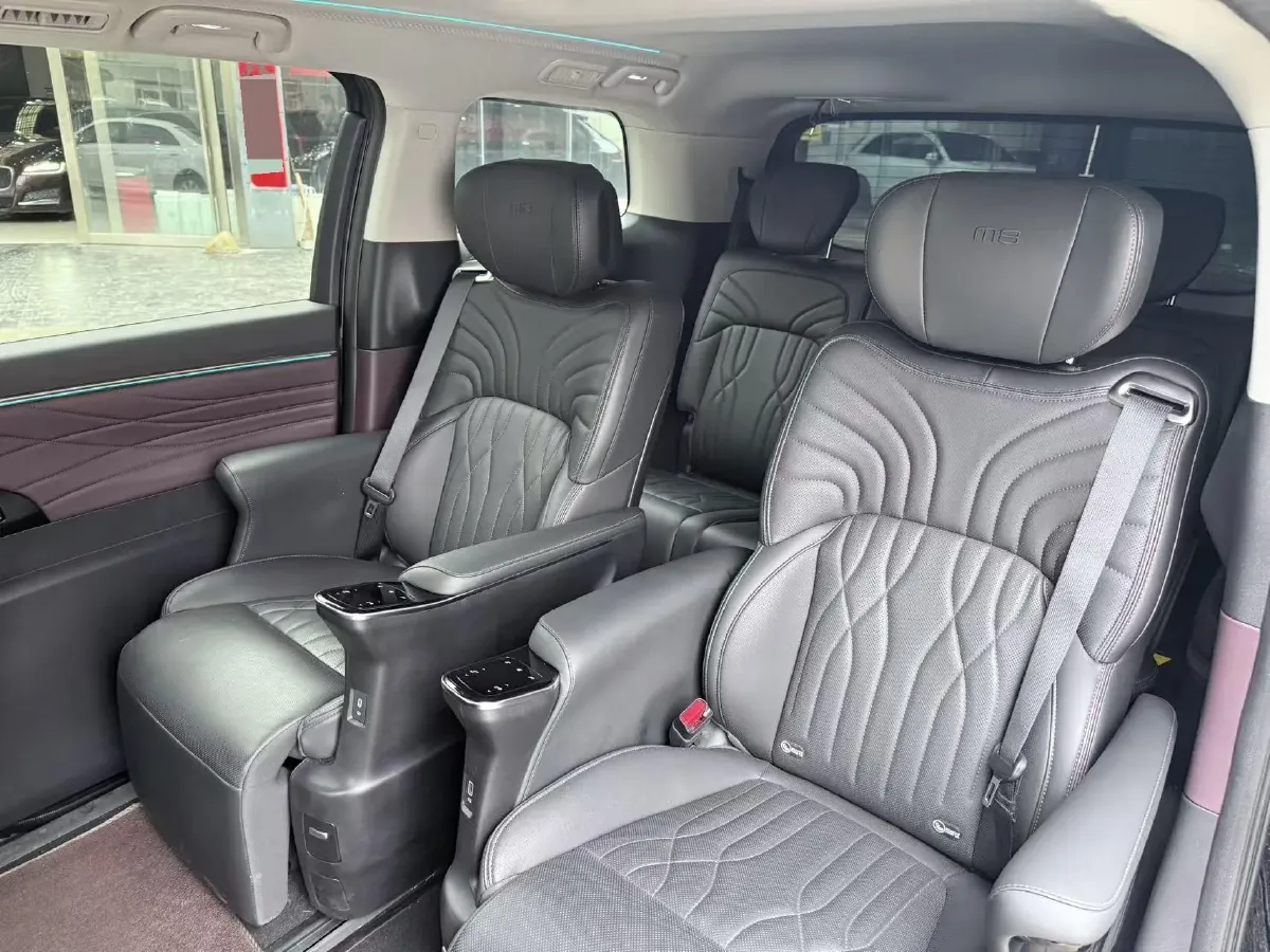 2024 GAC Trumpchi M8 2.0T 252HP L4 8AT,autocango,china used car exporter,china ev exporter,chinese used car exporter,chinese used ev exporter