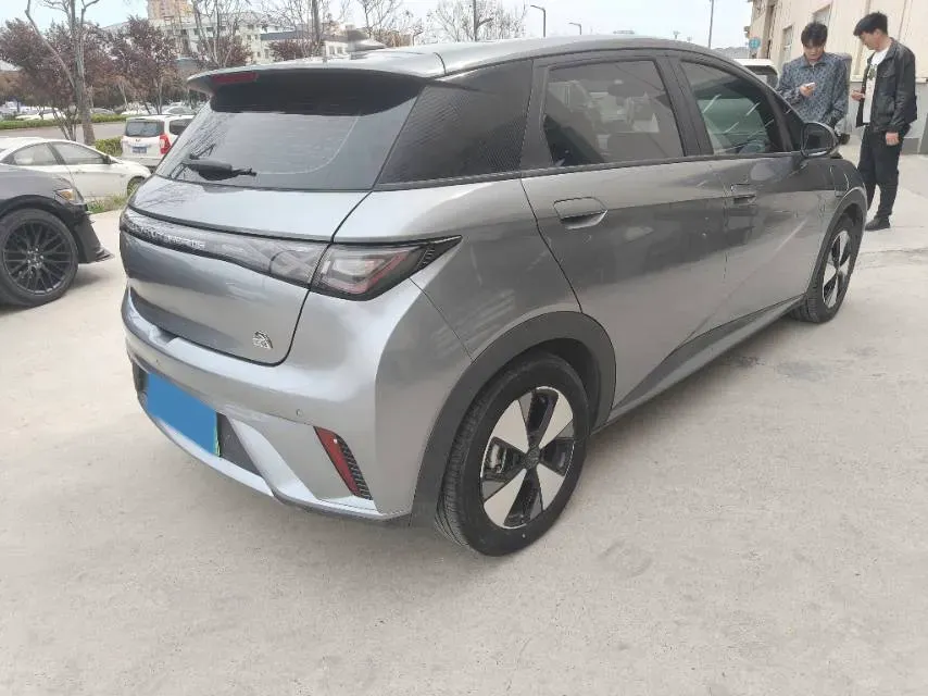 2023 BYD Dolphin BEV 44.928KWH,autocango,china used car exporter,china ev exporter,chinese used car exporter,chinese used ev exporter