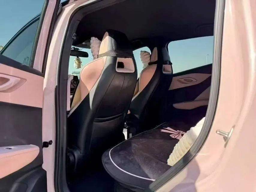 2024 BYD Seagull BEV 30.08KWH,autocango,china used car exporter,china ev exporter,chinese used car exporter,chinese used ev exporter