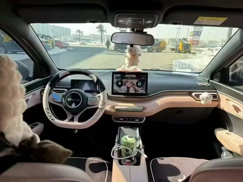 2024 BYD Seagull BEV 30.08KWH,autocango,china used car exporter,china ev exporter,chinese used car exporter,chinese used ev exporter