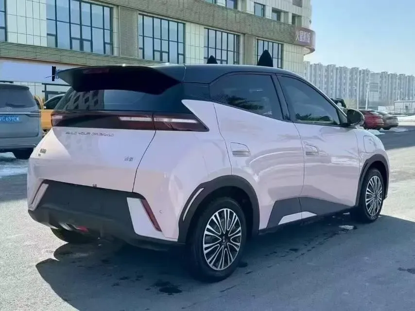 2024 BYD Seagull BEV 30.08KWH,autocango,china used car exporter,china ev exporter,chinese used car exporter,chinese used ev exporter