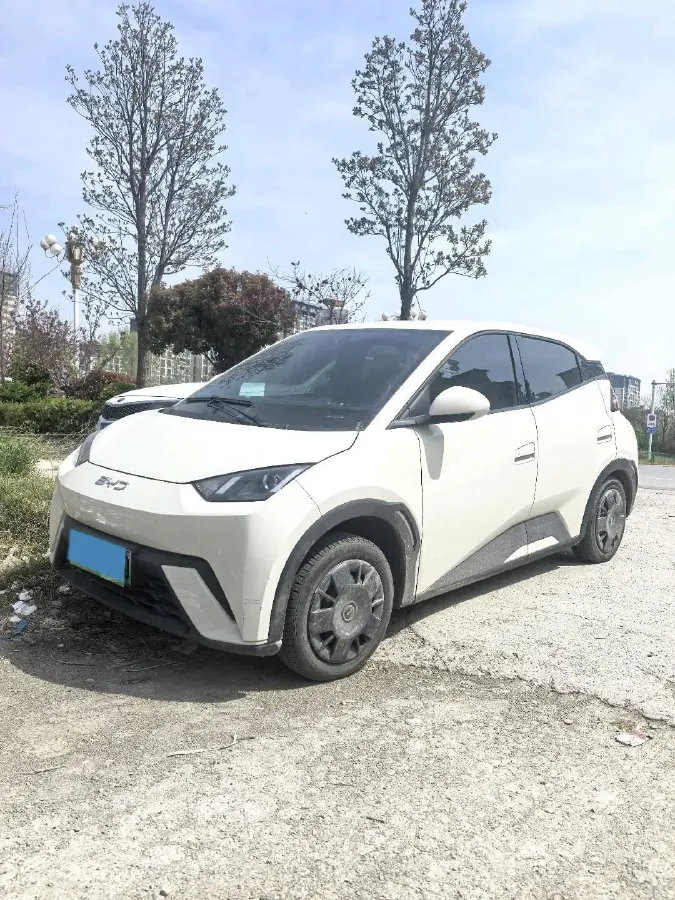 2024 BYD Seagull BEV 30.08KWH,autocango,china used car exporter,china ev exporter,chinese used car exporter,chinese used ev exporter