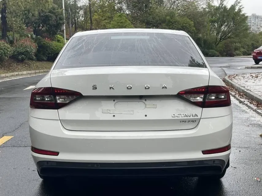 2020 Skoda Octavia 1.2T 116HP L4 7DCT,autocango,china used car exporter,china ev exporter,chinese used car exporter,chinese used ev exporter