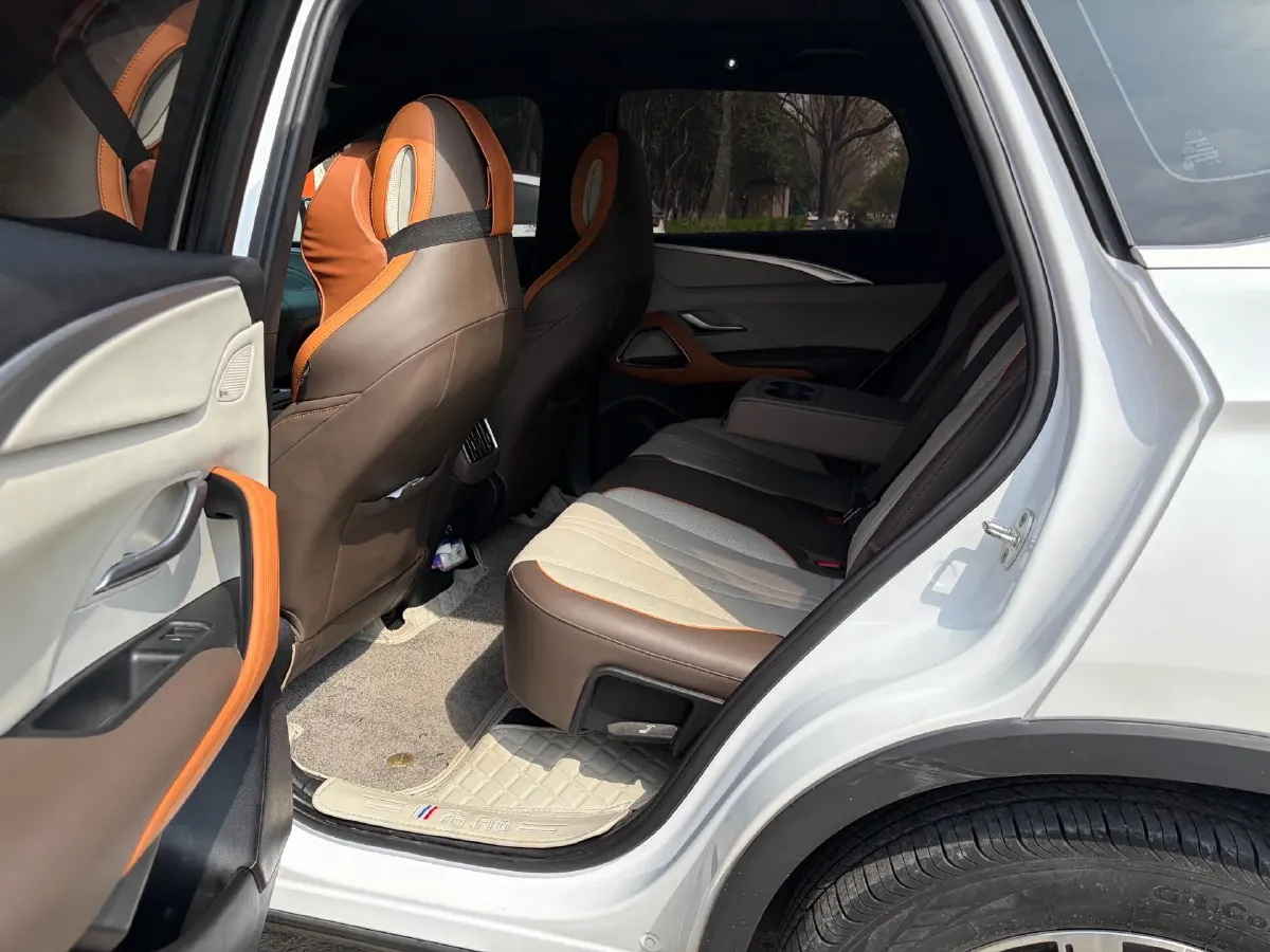 2021 SRM Sea Lion EV BEV 41.86KWH,autocango,china used car exporter,china ev exporter,chinese used car exporter,chinese used ev exporter