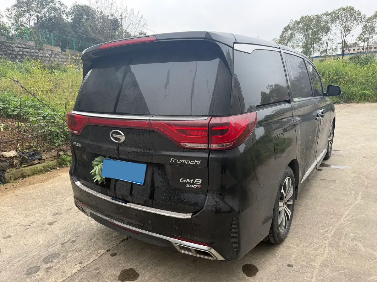 2021 GAC Trumpchi M8 2.0T 252HP L4 8AT,autocango,china used car exporter,china ev exporter,chinese used car exporter,chinese used ev exporter