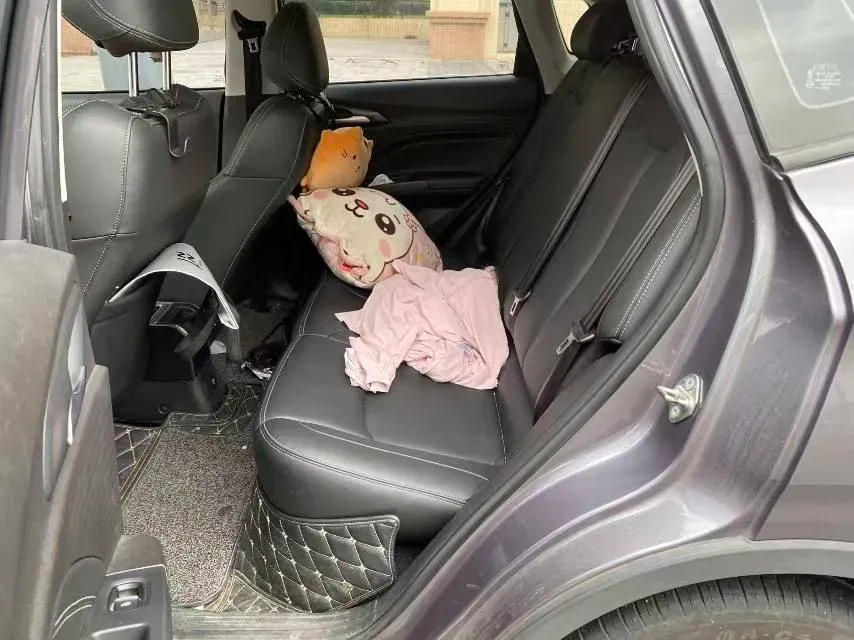 2021 Chery Little Ant BEV 30.6KWH,autocango,china used car exporter,china ev exporter,chinese used car exporter,chinese used ev exporter