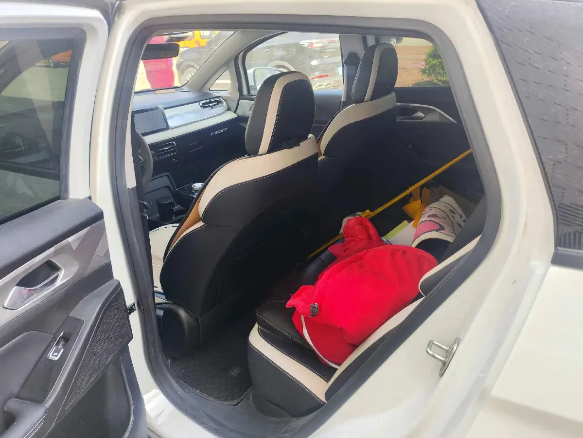 2023 Geometry E BEV 39.4KWH,autocango,china used car exporter,china ev exporter,chinese used car exporter,chinese used ev exporter