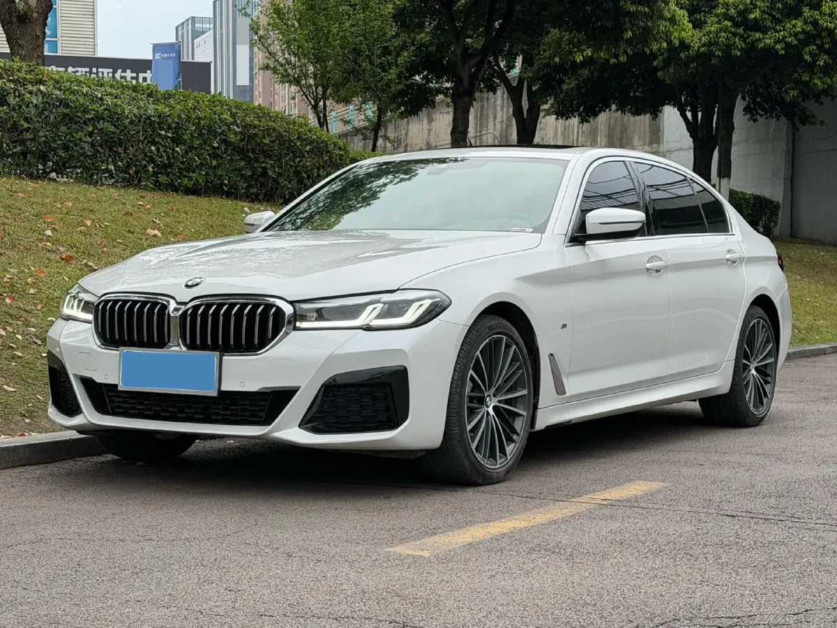 2023 BMW 5 Series 2.0T 245HP L4 8AT,autocango,china used car exporter,china ev exporter,chinese used car exporter,chinese used ev exporter