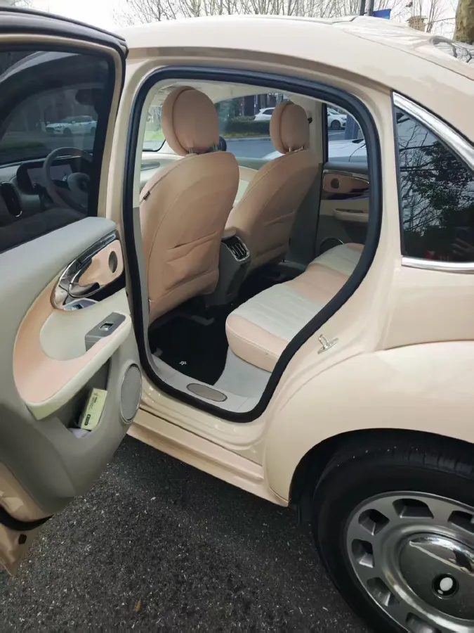 2022 Ora BalletCat BEV 49.92KWH,autocango,china used car exporter,china ev exporter,chinese used car exporter,chinese used ev exporter