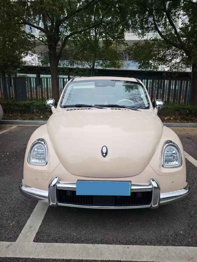 2022 Ora BalletCat BEV 49.92KWH,autocango,china used car exporter,china ev exporter,chinese used car exporter,chinese used ev exporter