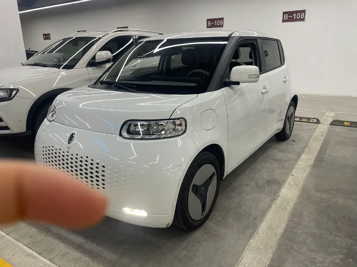 2020 Ora WhiteCat BEV 33KWH,autocango,china used car exporter,china ev exporter,chinese used car exporter,chinese used ev exporter