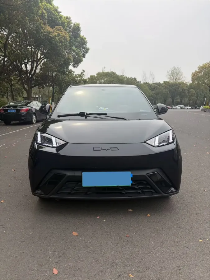 2023 BYD Seagull BEV 30.08KWH,autocango,china used car exporter,china ev exporter,chinese used car exporter,chinese used ev exporter