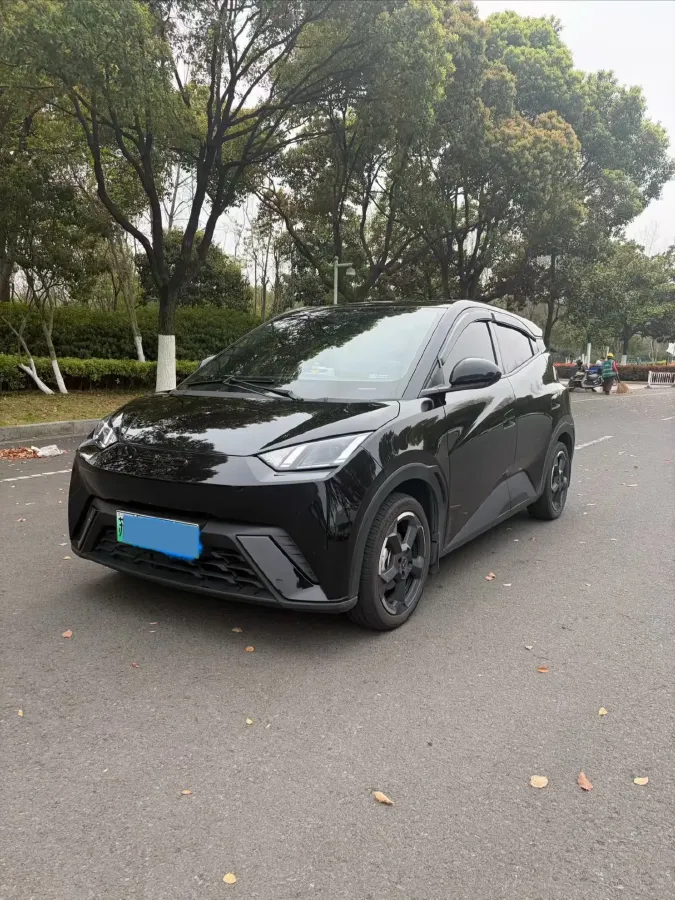 2023 BYD Seagull BEV 30.08KWH,autocango,china used car exporter,china ev exporter,chinese used car exporter,chinese used ev exporter