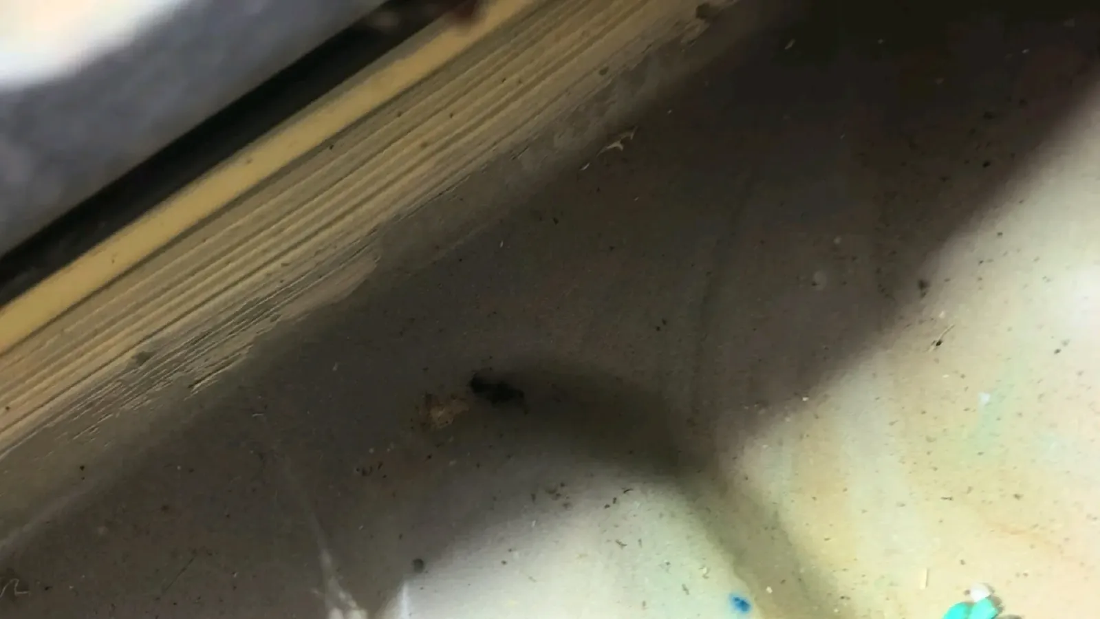 2020 GAC Trumpchi GS4 1.5T 169HP L4 6MT,autocango,china used car exporter,china ev exporter,chinese used car exporter,chinese used ev exporter